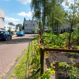 Betondorp_Marcel Westhoff_DSC06815