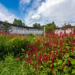 Betondorp_Marcel Westhoff_MWFF0966