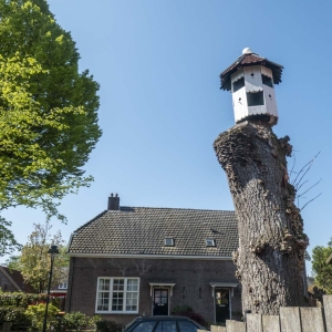 P1066835
