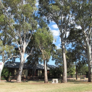 1280px-CLG_Mortlock_Park_Mitcham_Army_Camp_location