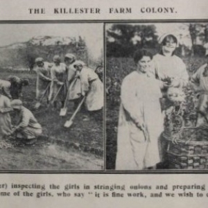 Image 1 Killester Farm Colony (Source Irish Life magazine)