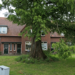 P1430933
