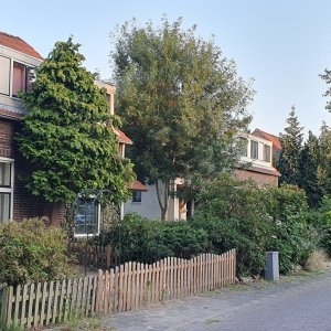 a2-straat-2.jpg