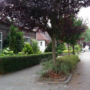 a4-straat-3.jpg